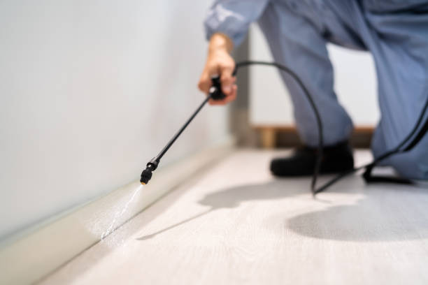 Licensed Cockroach Control service in Wakefield, VA - Nex Pest Control