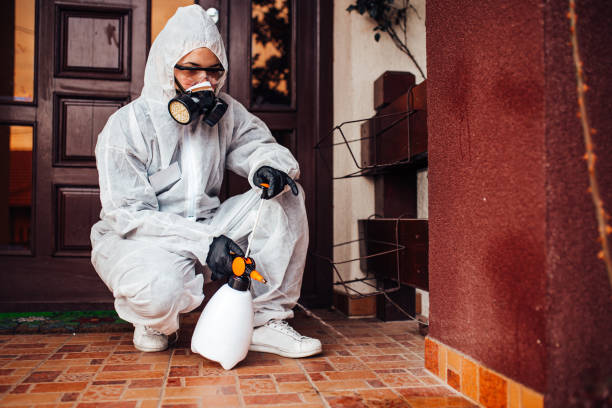 Reliable Cockroach Control contractor in Wakefield, VA by Nex Pest Control